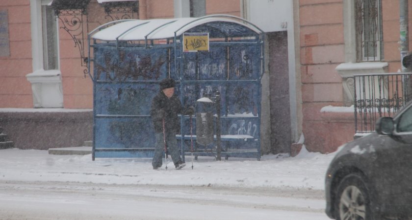 Опасные снегопады обрушатся на Ярославль в выходные 