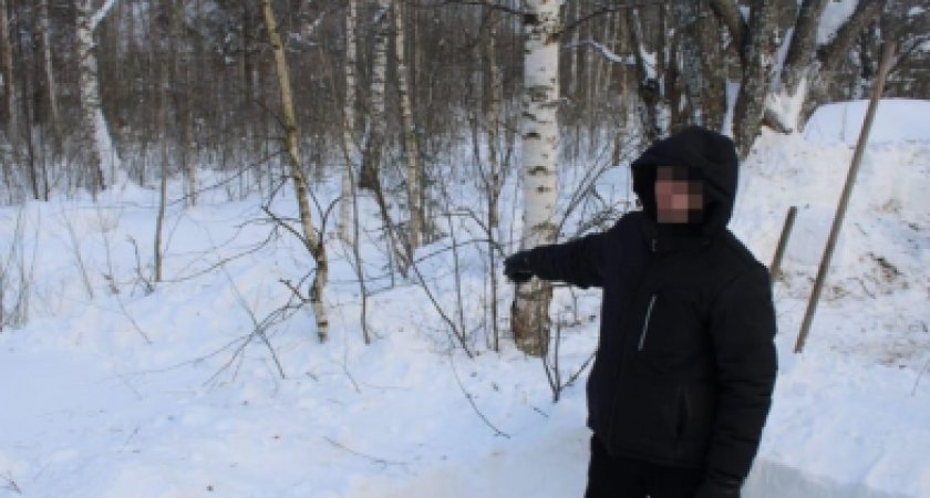 Ярославец сознался в убийстве спустя семь лет и показал спрятанные останки 