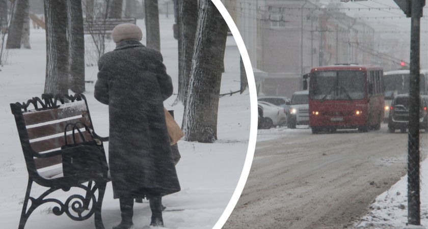 Ярославцы обвинили бабушку в гибели 3-летней девочки под колесами автобуса