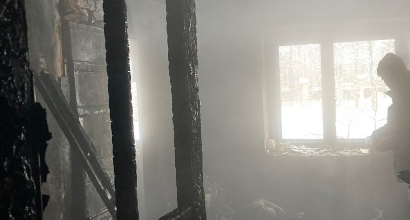 Тушили семь часов, но не спасли: под Ярославлем мужчина сгорел заживо