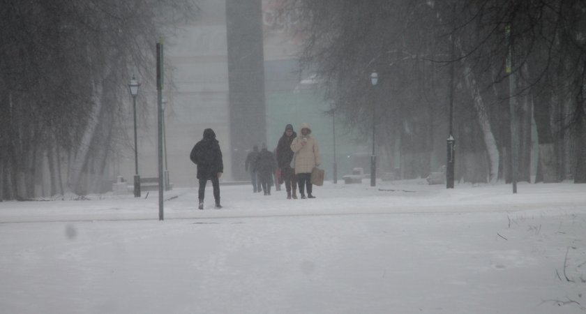 Снежный циклон заставит ярославцев остаться дома: что посмотреть вместо прогулки