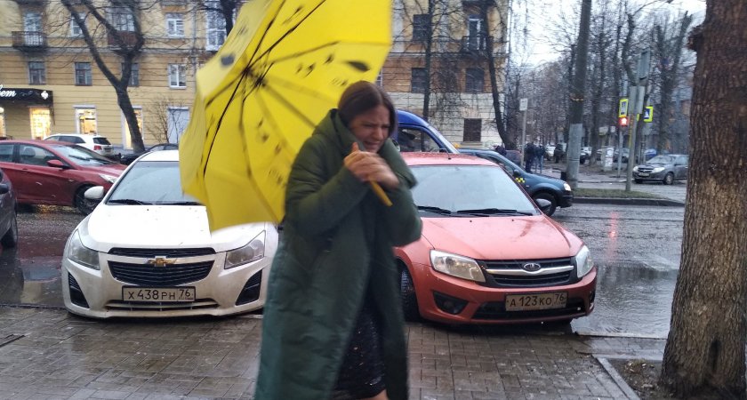 "Опасные значения": синоптики напугали ярославцев погодой в эти выходные
