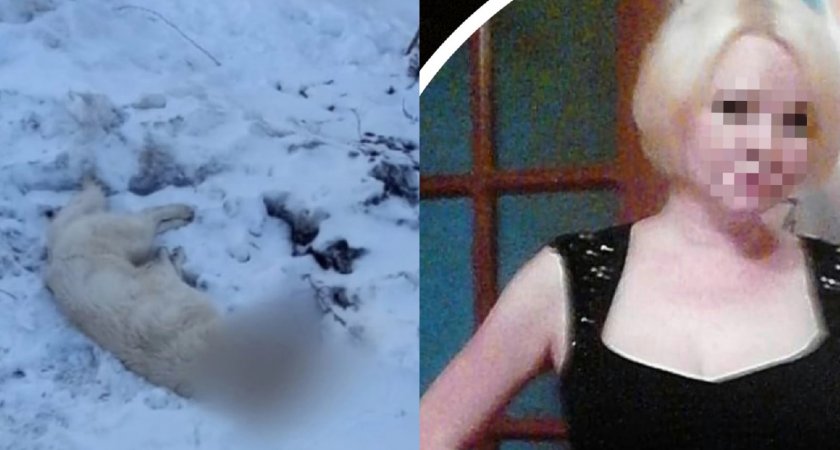 "Убил - убери за собой": странная смерть женщины повлекла серию убийств собак в Переславле