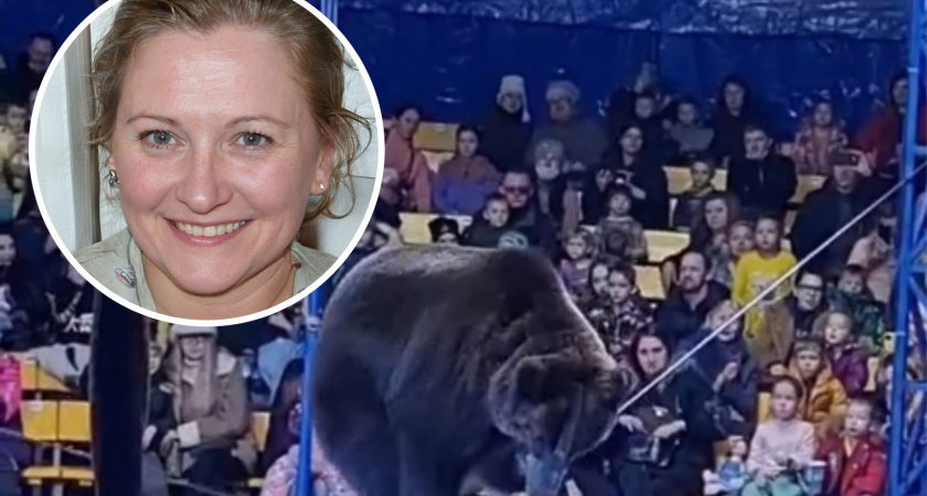 В Ярославле разразился скандал из-за предложения запретить цирки