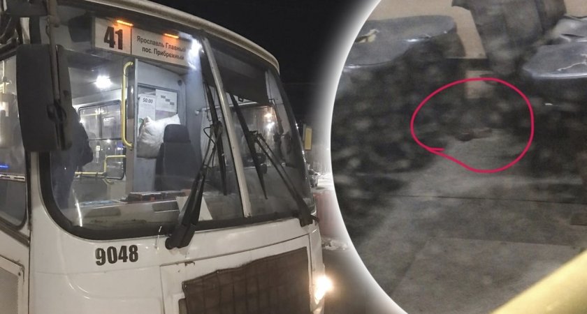 В ярославской маршрутке пассажир забыл пистолет