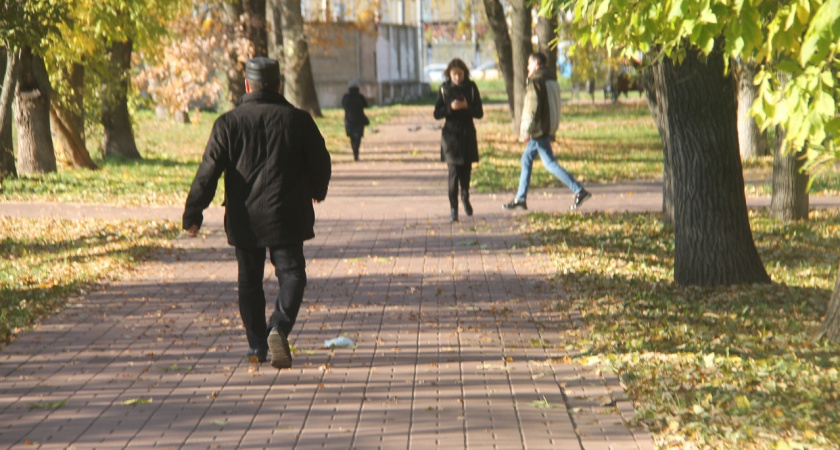 Тепло возвращается: когда в Ярославле снова станет жарко 