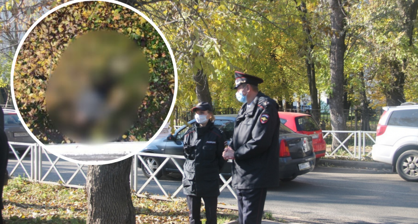 Труп во дворе дома: ярославцы обнаружили страшную находку