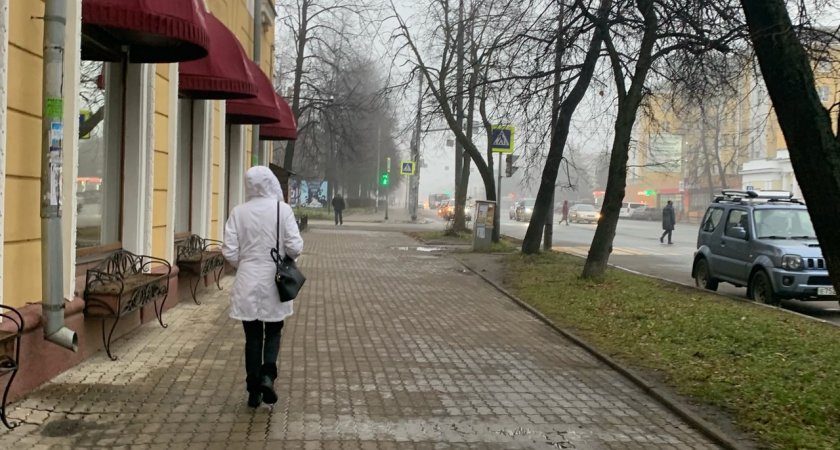 Дожди и мокрый снег: какая погода ждет ярославцев