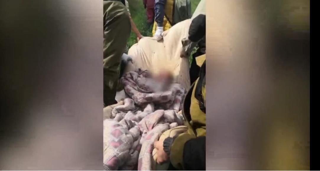 «Лежала в траве с ранами на теле»: под Ярославлем на окраине поля нашли пропавшую бабушку