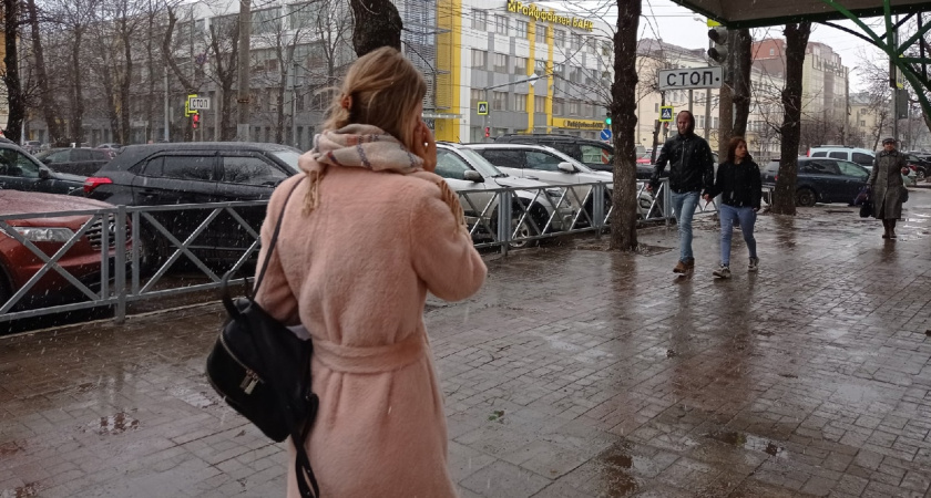 «Битва сезонов и январские морозы»: какая погода ждет ярославцев в ноябре