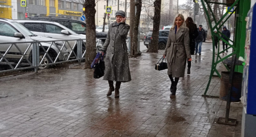 Дождь и мокрый снег: когда ждать ухудшения погоды в Ярославле