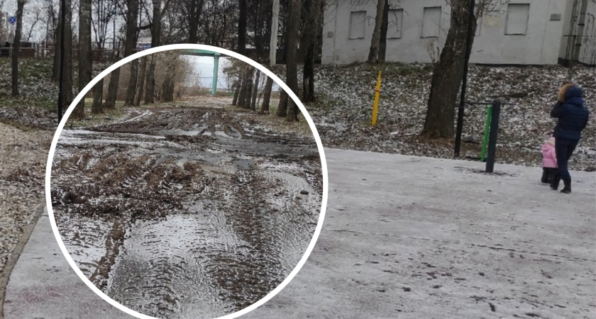 «Сдохнут этой зимой»: что возмущает ярославцев в обустроенной тверицкой набережной