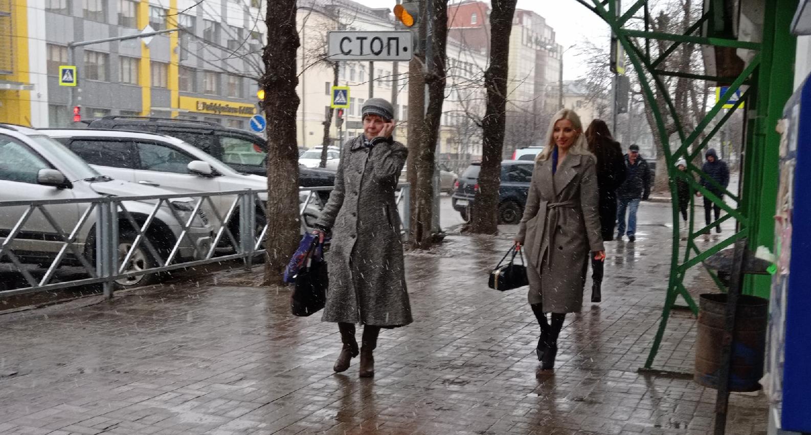 Синоптики: на этой неделе в Ярославле выпадет снег