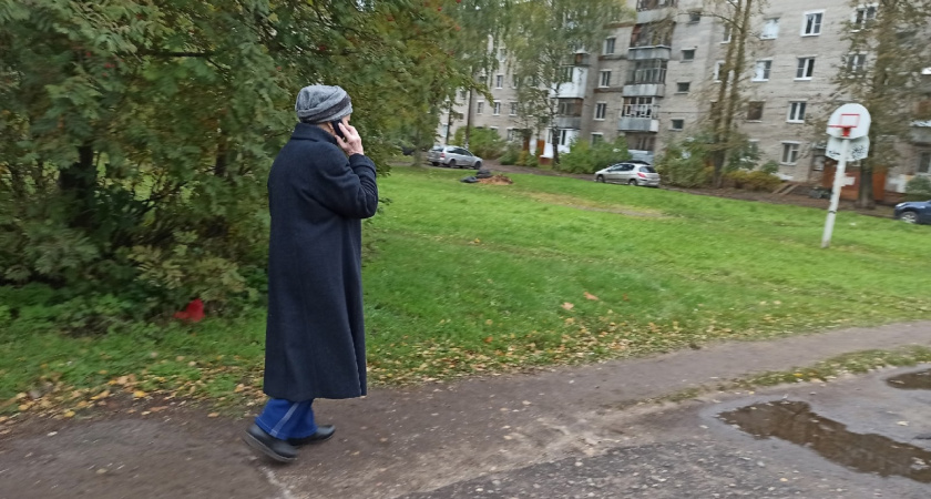 «Не лезьте вы туда»: ярославцы раскритиковали обустройство Павловской рощи