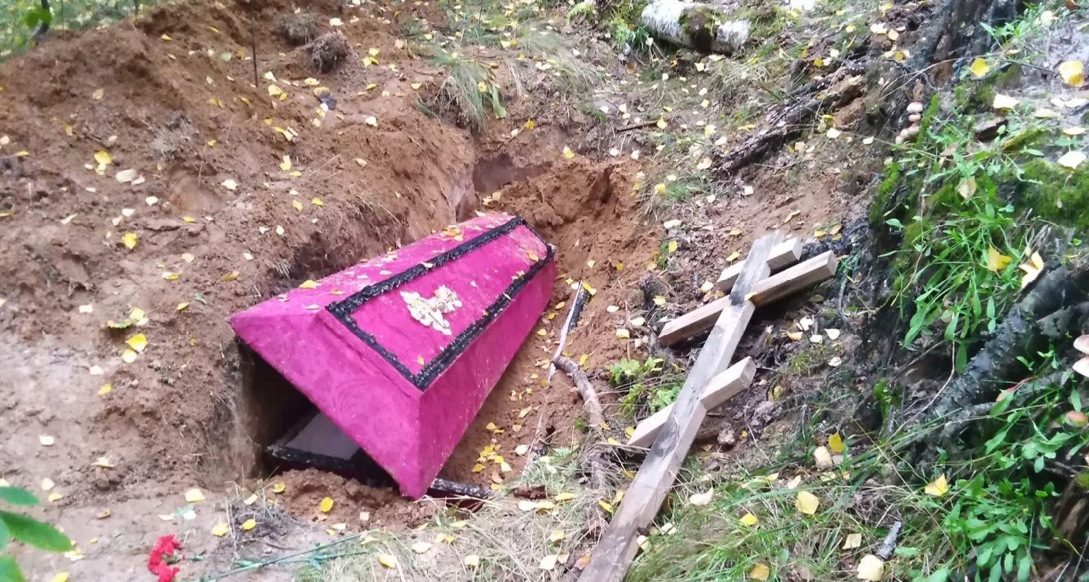  Бандиты или сектанты: гроб с крестом нашли в лесу Ярославля
