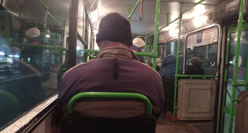«Больше на 35%»: в Ярославле выросло число автобусов