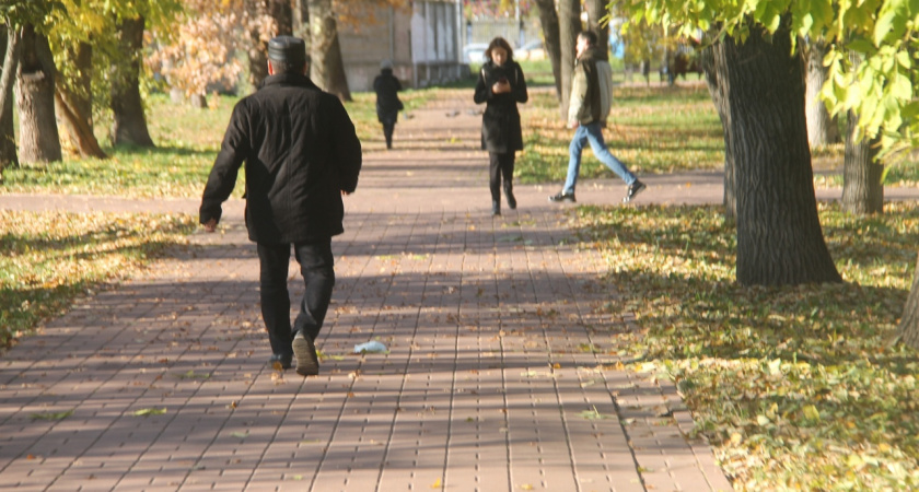 Ниже -5 градусов: что ждет ярославцев на следующей неделе