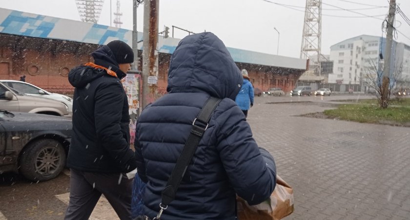 Сильнейший за последние 70 лет снегопад обрушится на Ярославскую область