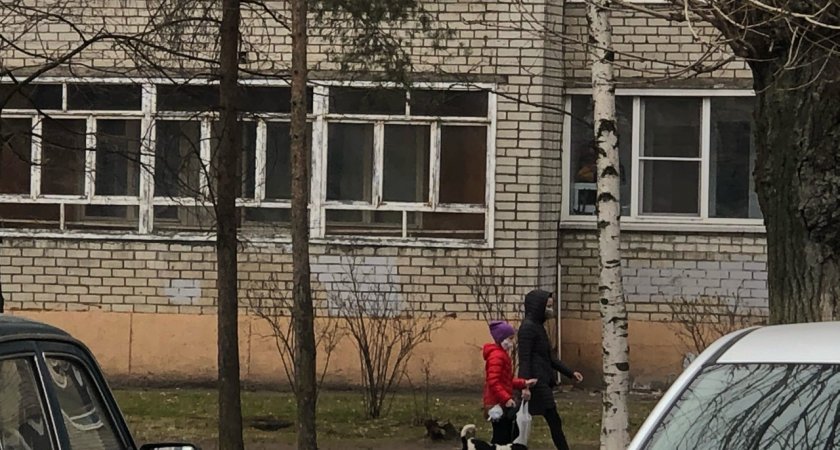 Заволгой догхантеры начали массовую травлю собак