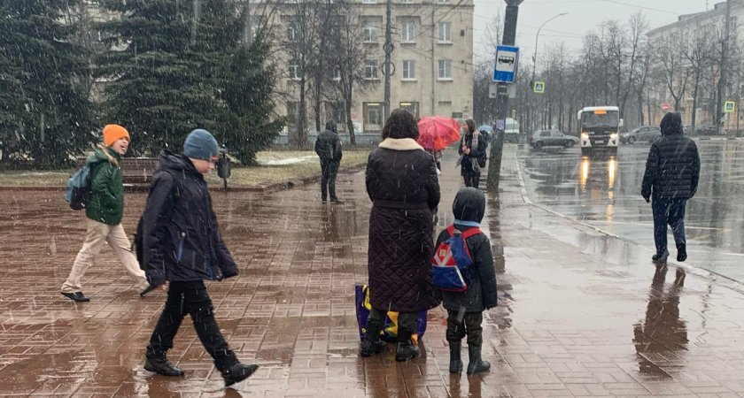В экстренном сообщении МЧС ярославцев предупредили о непогоде