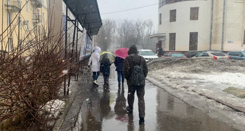 Экстренное предупреждение о непогоде выпустило МЧС для ярославцев