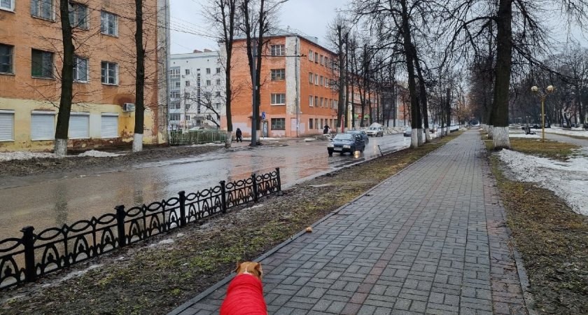 В центре Ярославля по частям расхищают чугунный забор
