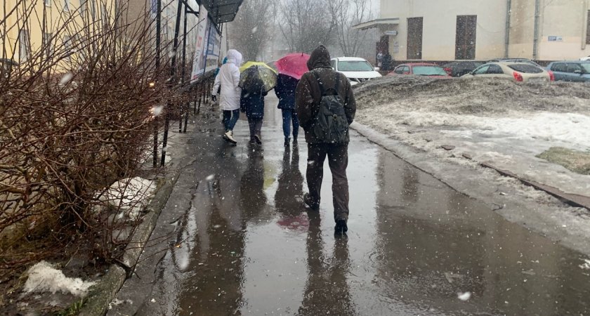 На Ярославль надвигается штормовой ветер: предупреждение МЧС