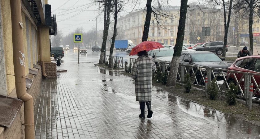 На Ярославль надвигается штормовой циклон "Мирелла"