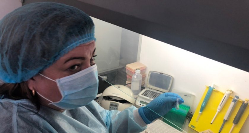 Первый клещ в этом году покусал ярославца