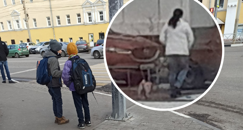 Ярославна обвинила собачников в аллергии сына