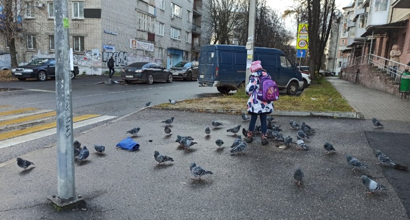 В Ярославле хотят отменить учебные субботы в школе