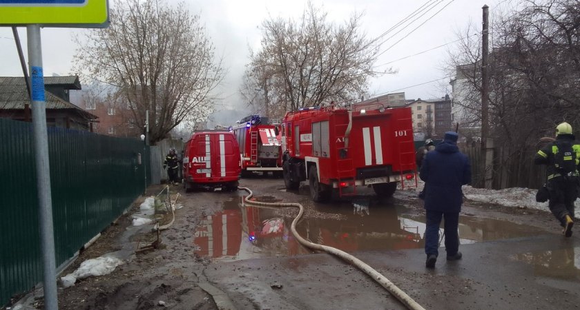 В Ярославской области кошка спасла хозяйку от смерти