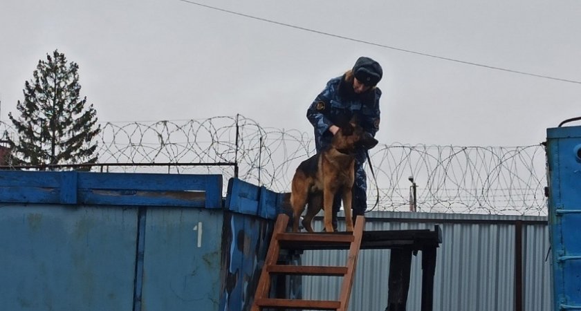 В исправительной колонии 1 Ярославля заключенный покончил жизнь самоубийством