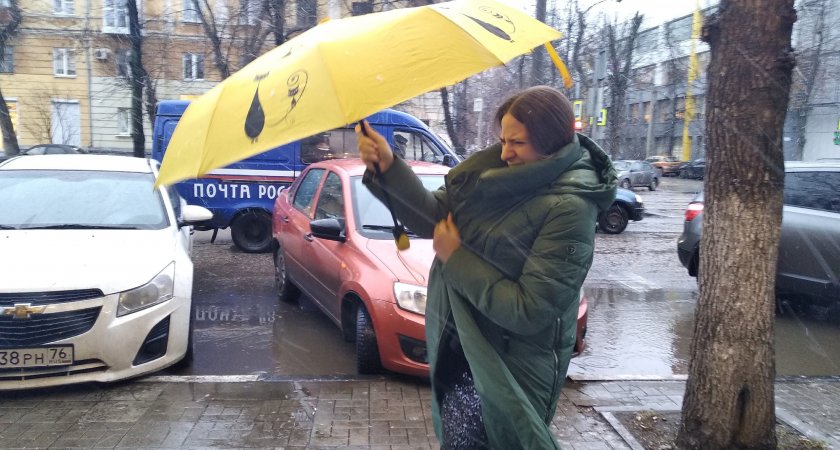 В Ярославле предупредили о резком ухудшении погоды и северном ветре