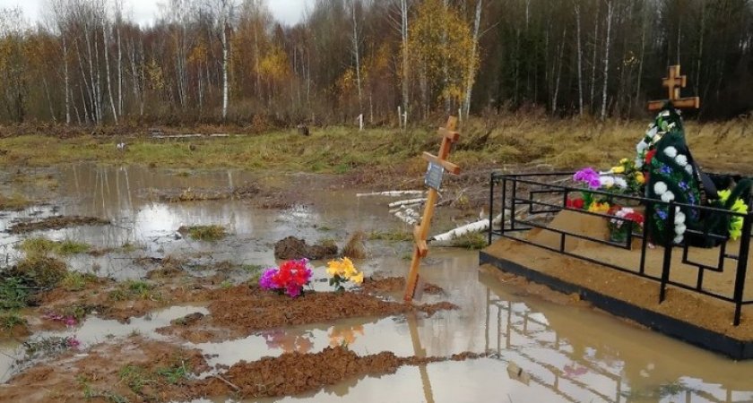  "Смрад вызывает рвоту": житель Ярославской области бьет тревогу из-за местного кладбища