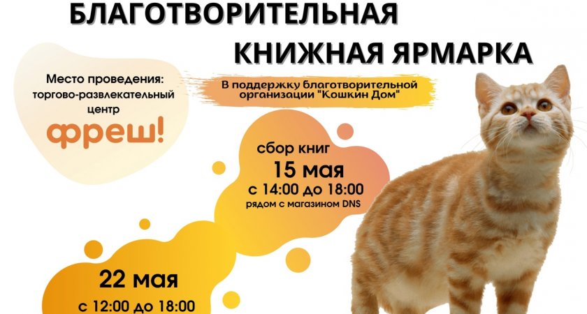 Читающие ярославцы могут спасти жизнь кошкам