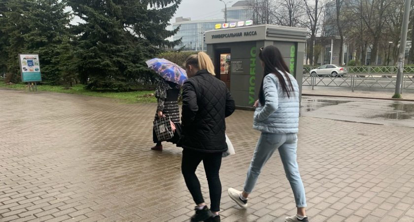 Ярославцев ждет ливневая неделя