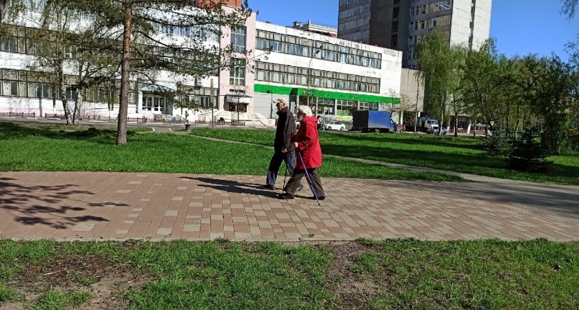 Синоптики предупреждают о высокой угрозе для аллергиков в Ярославле