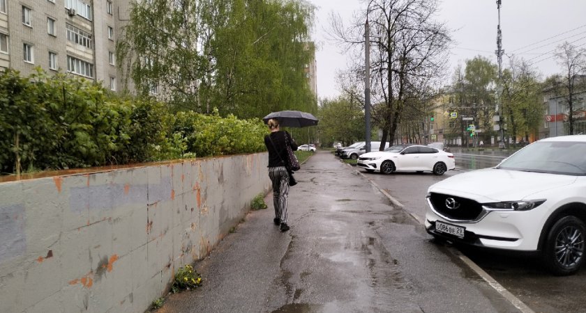 В последнюю неделю мая ярославцам пообещали дожди и холод