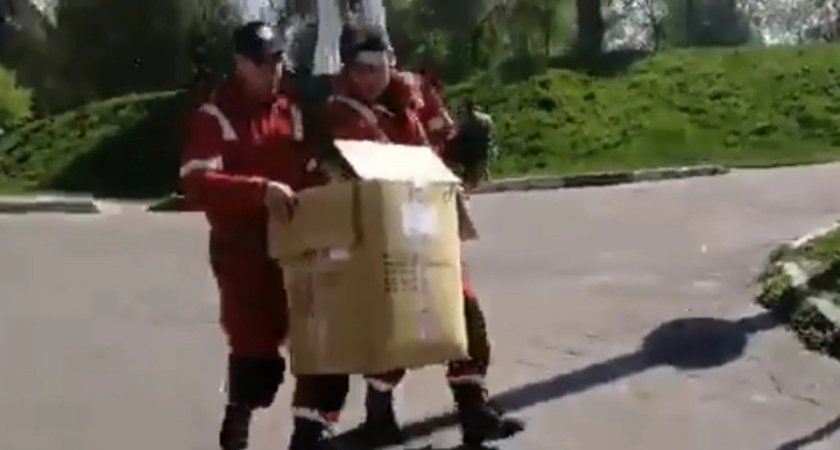  Спасатели спасли заблудившихся в музее Ярославля утку с утятами