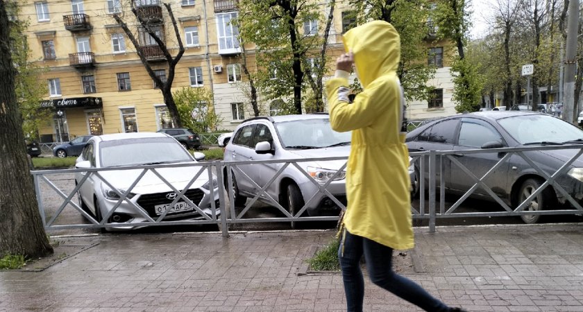 Синоптики назвали дату прихода метеорологического лета в Ярославль