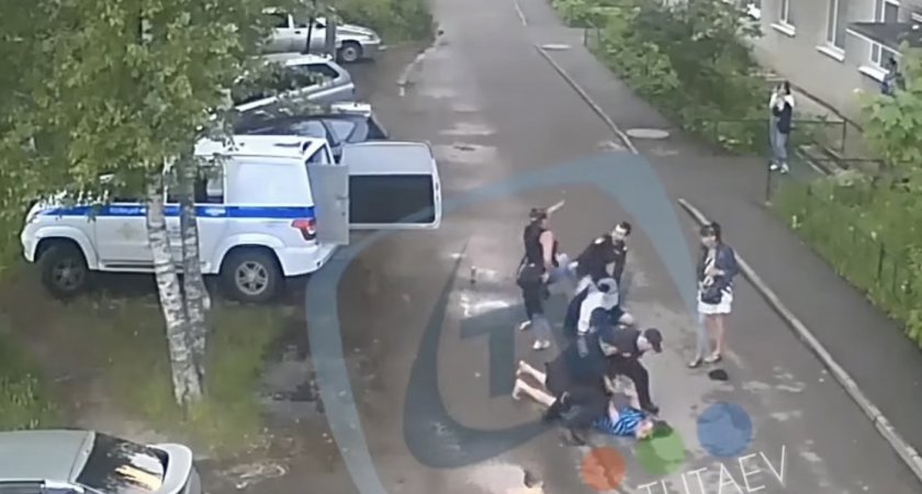Пьяная компания под Ярославлем напала на полицейских