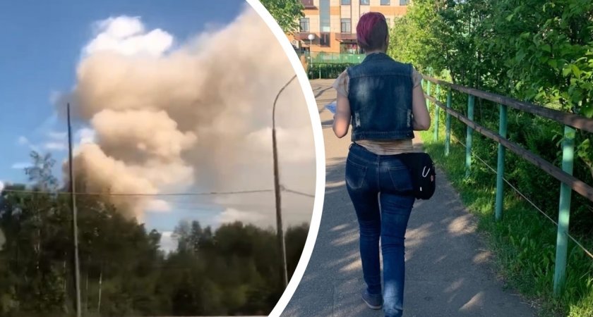 Жителей Заволжского района напугал густой столп дыма у зоопарка 