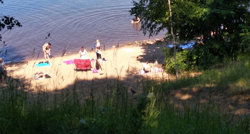 В Ярославской области в узкой реке утонул 11-летний мальчик