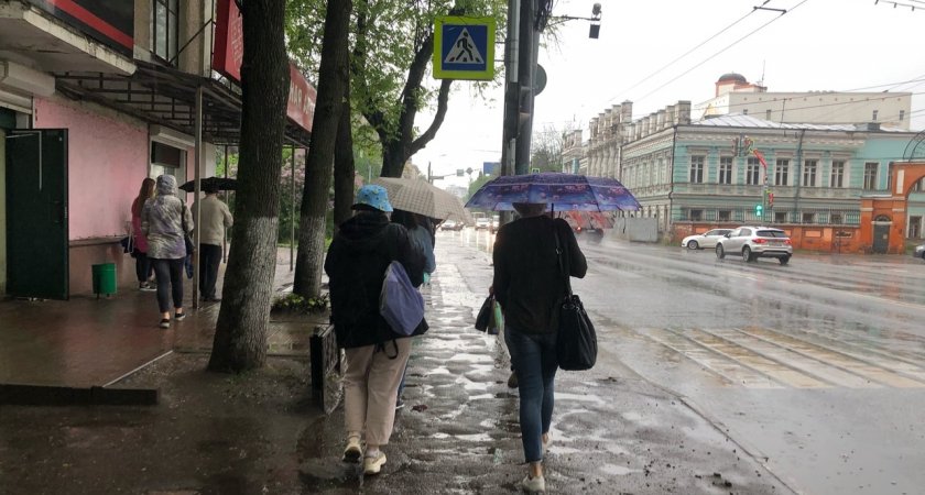 Долгожданные дожди обрушатся на Ярославскую область