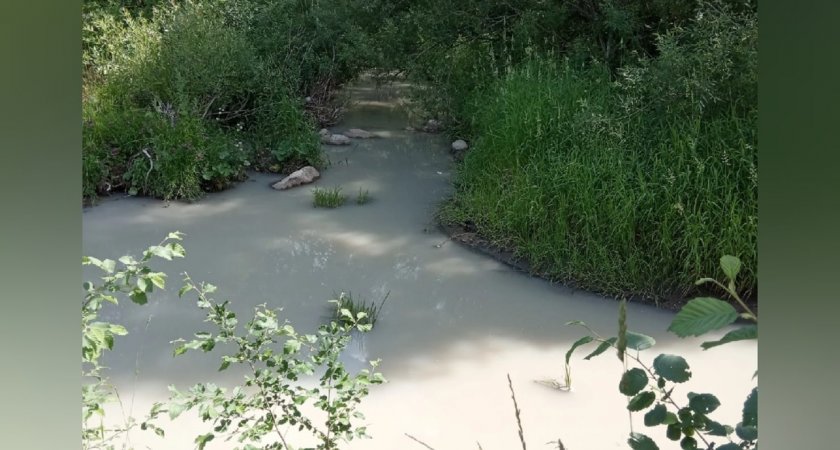 Под Ярославлем жители бьют тревогу из-за вонючей молочной реки