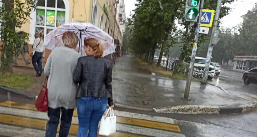 Назвали самый дождливый день в Ярославле на следующей неделе