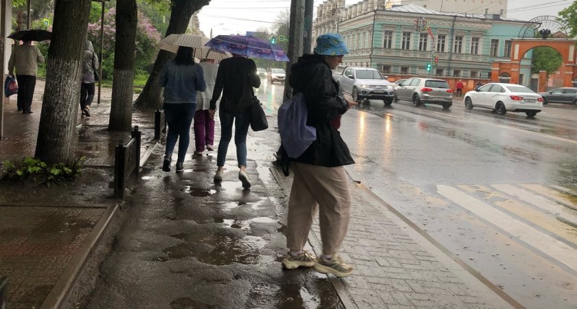 Холод и аномалии пообещали синоптики в конце июля в Ярославле