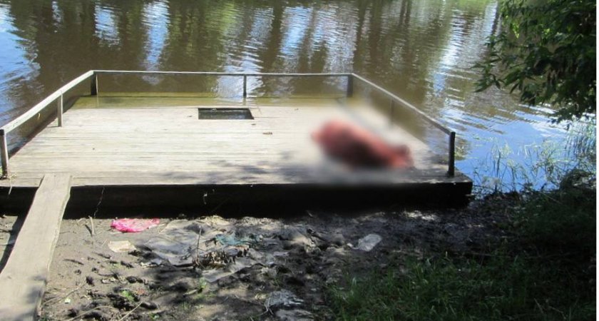 В Ярославской области в реке обнаружили неопознанный труп