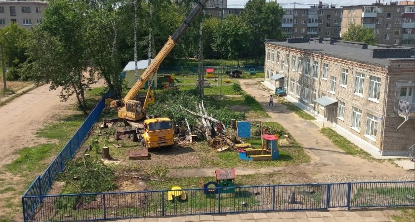 "Мы против": жители Ярославской области не хотят вырубки деревьев на дворе детского сада